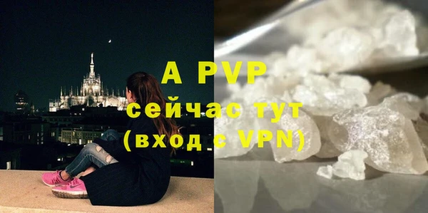 спайс Вяземский