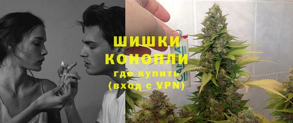 спайс Вяземский