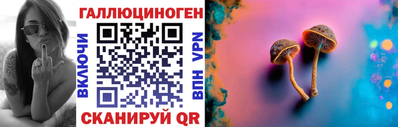 Псилоцибиновые грибы GOLDEN TEACHER  Купить  Кукмор 